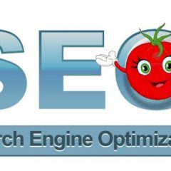 SEO Basics