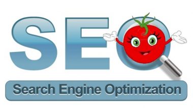 SEO Basics