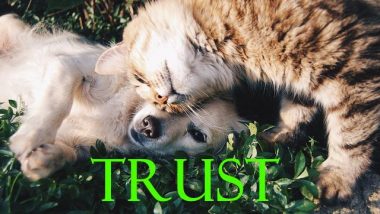 Trust