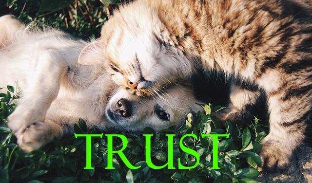 Trust